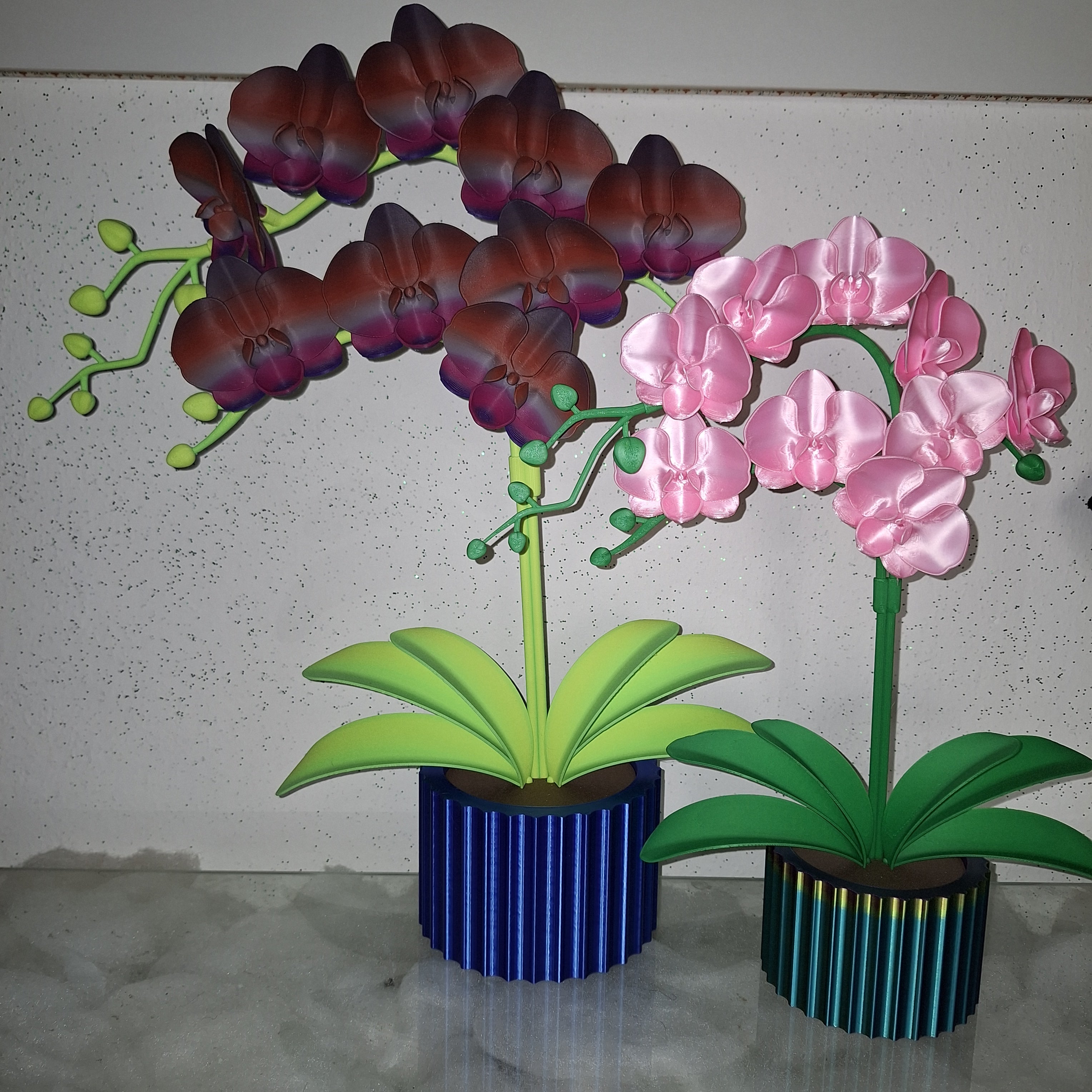 Schmetterlings Orchidee